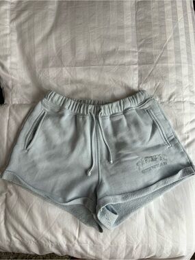 PacSun Light Blue Fleece Shorts